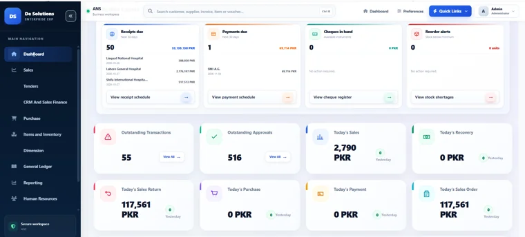 Dynamic ERP: Business Overview